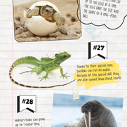 100 Animal Fun Facts 