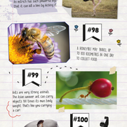 100 Animal Fun Facts 